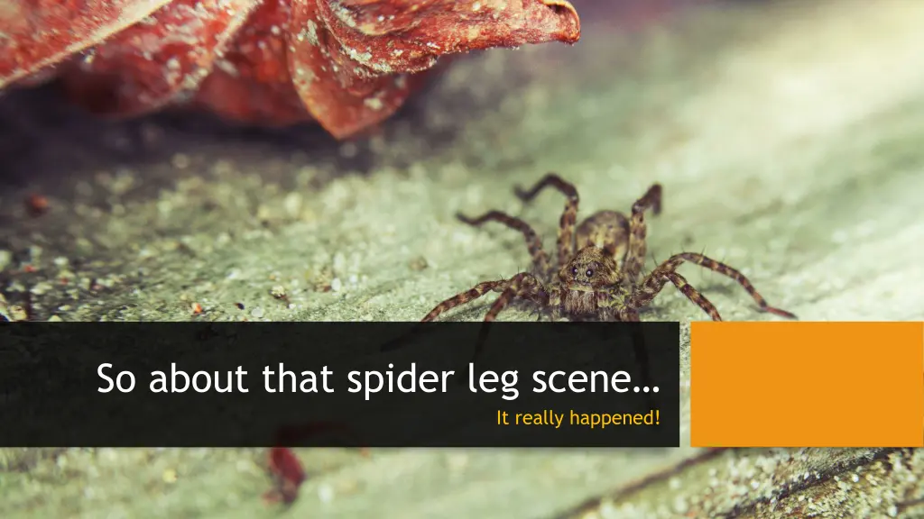 so about that spider leg scene