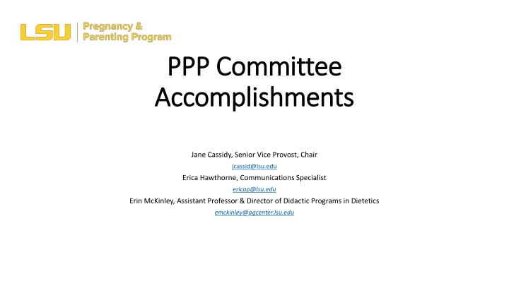 ppp committee ppp committee accomplishments