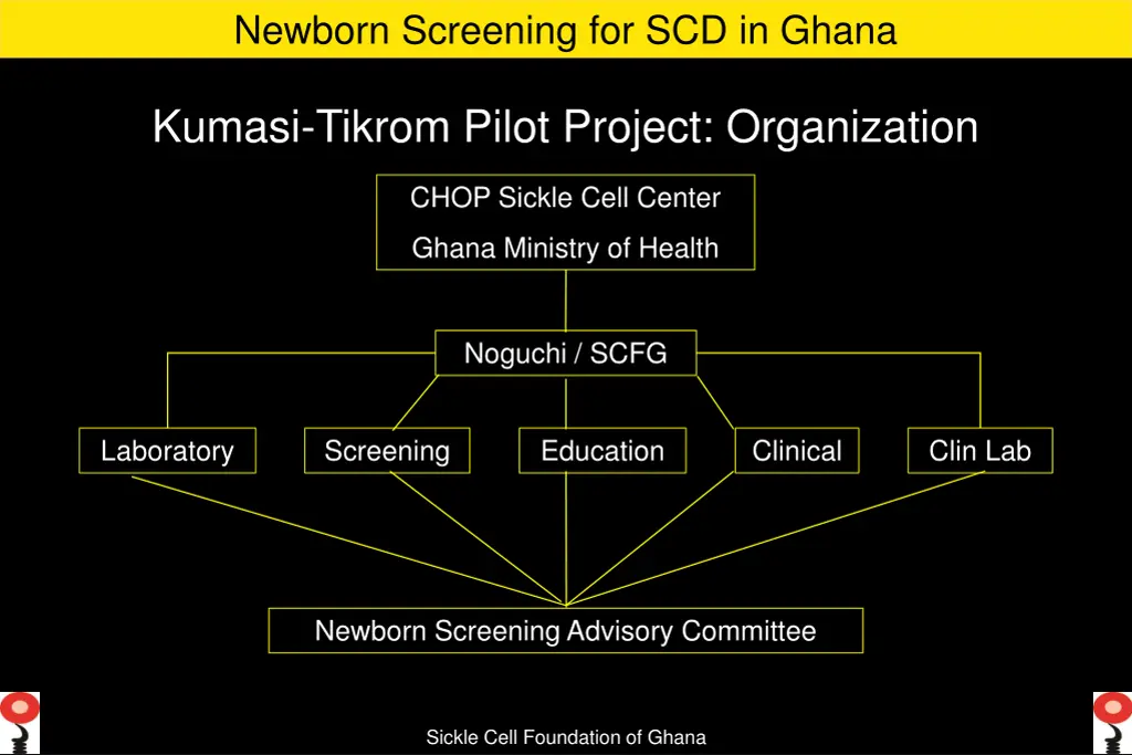 newborn screening for scd in ghana 2