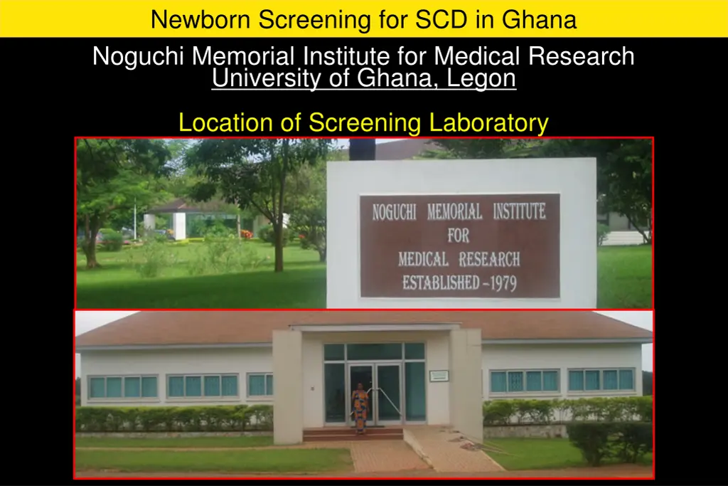 newborn screening for scd in ghana 7