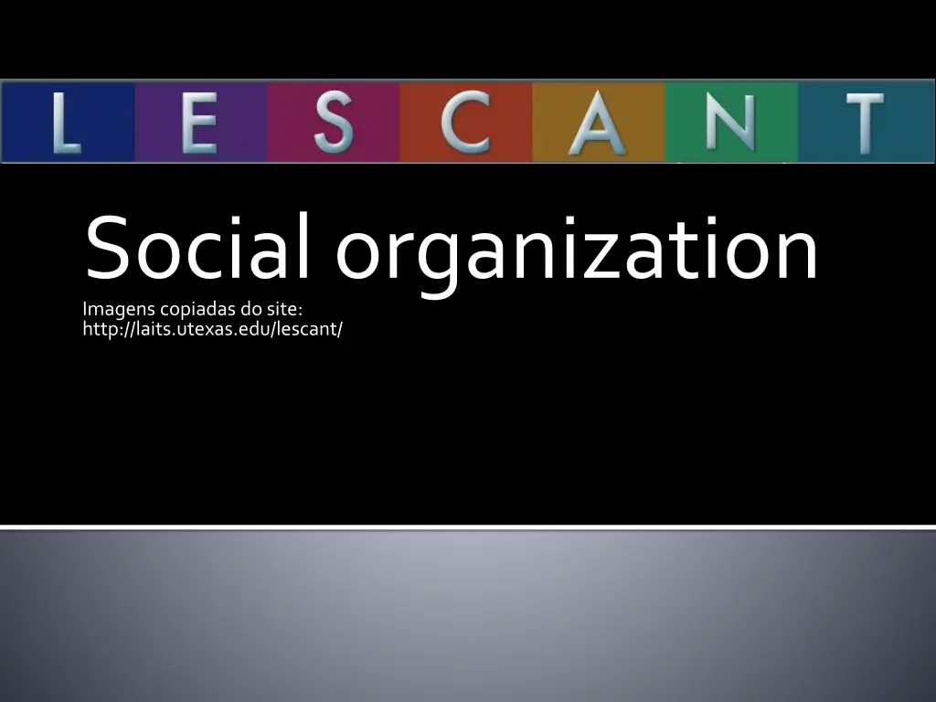 social organization imagens copiadas do site http