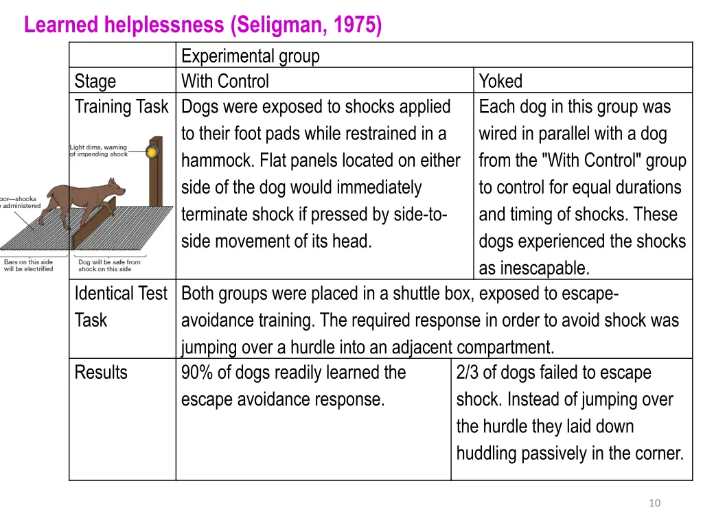 learned helplessness seligman 1975