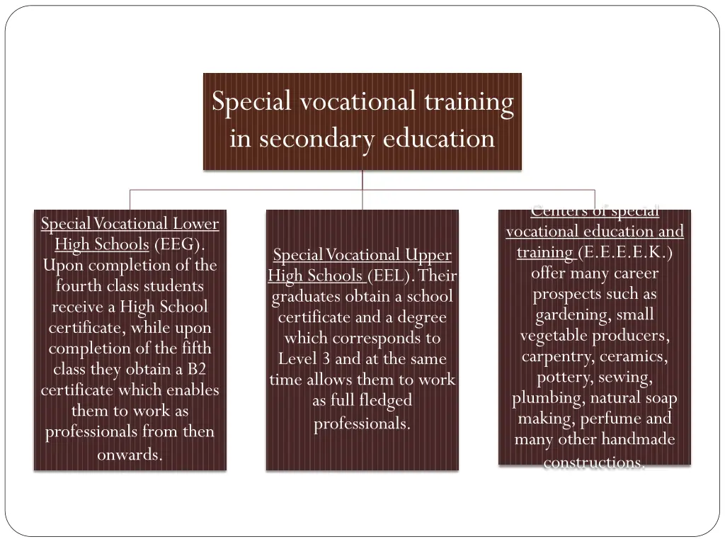 special vocational training in secondary education