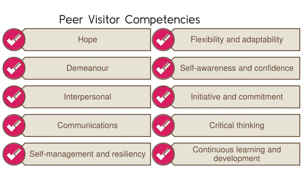 peer visitor competencies