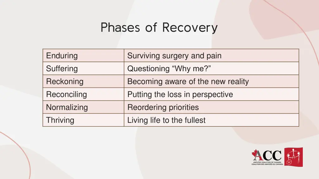 phases of recovery