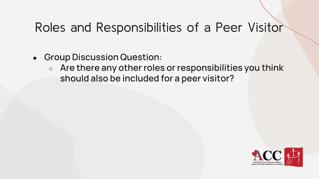 roles and responsibilities of a peer visitor