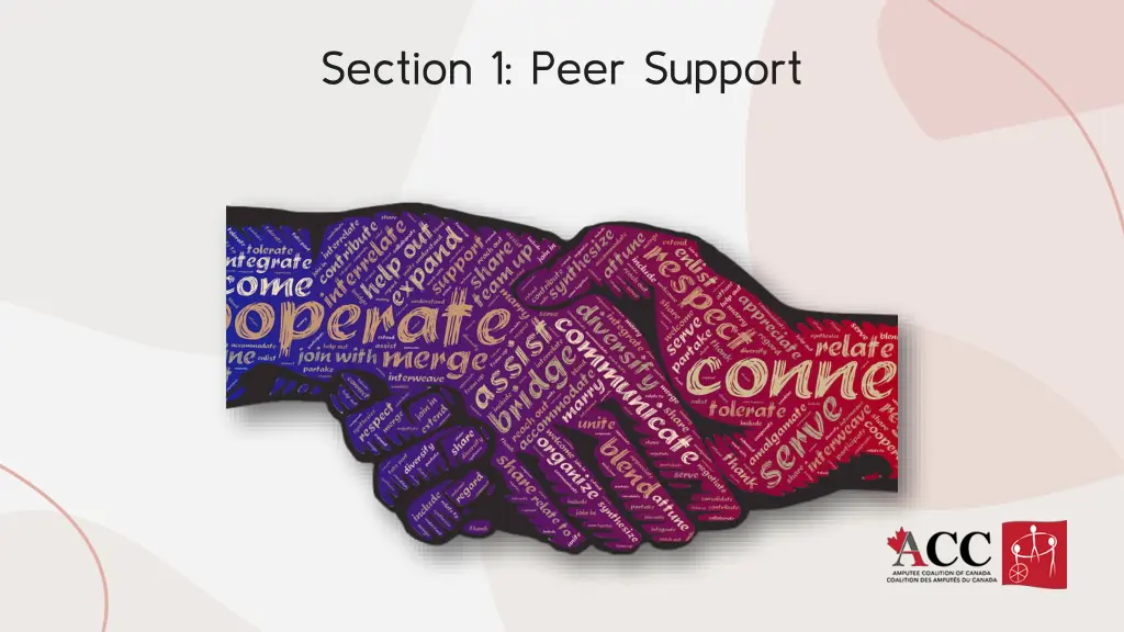 section 1 peer support