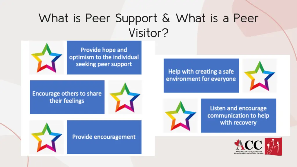 what is peer support what is a peer visitor 1