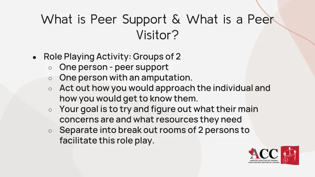 what is peer support what is a peer visitor 2