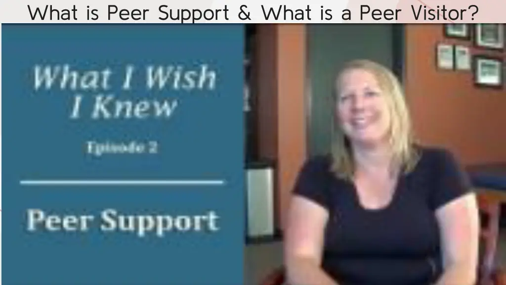 what is peer support what is a peer visitor