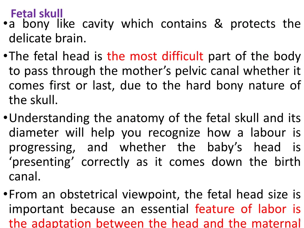 fetal skull a bony like cavity which contains