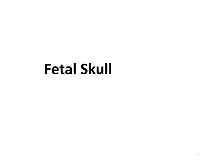 fetal skull