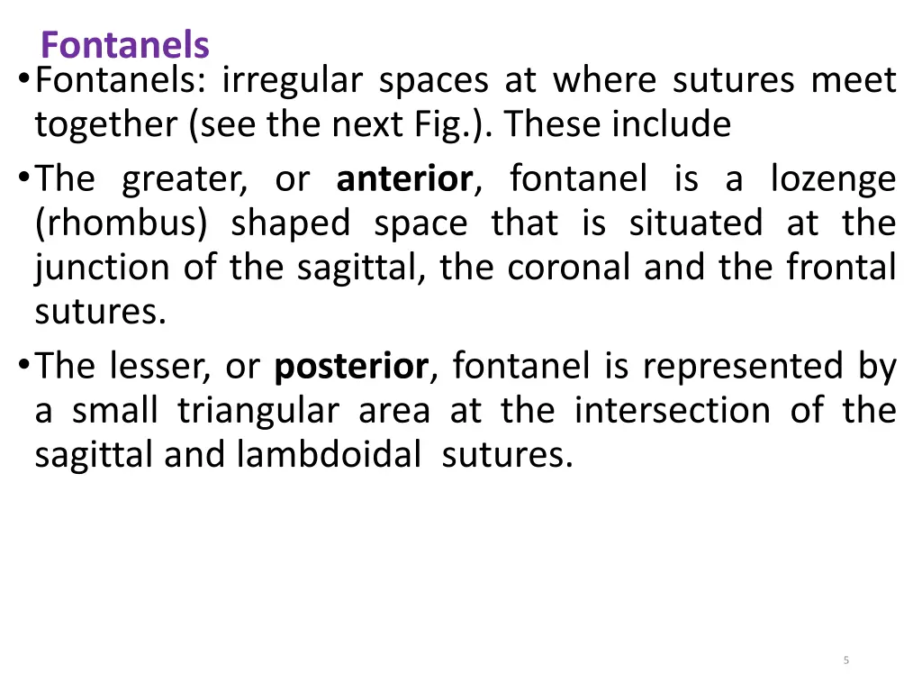 fontanels fontanels irregular spaces at where