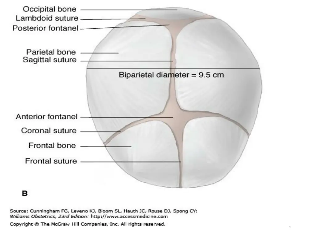 slide6