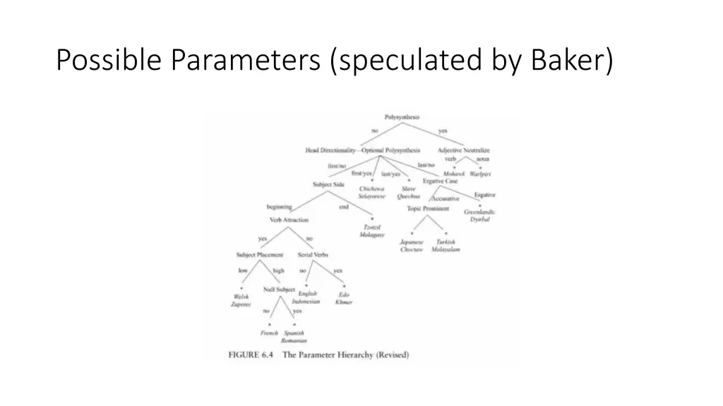 possible parameters speculated by baker