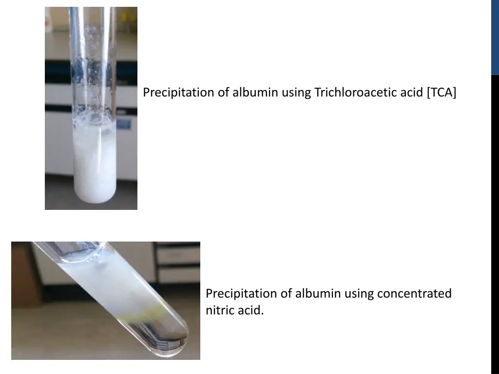 precipitation of albumin using trichloroacetic