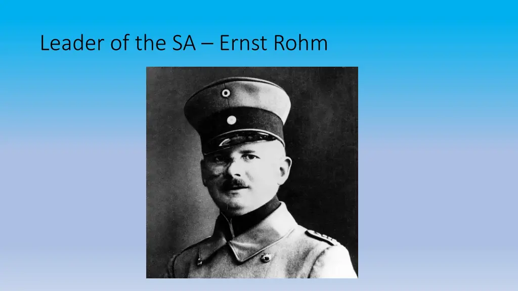 leader of the sa ernst rohm