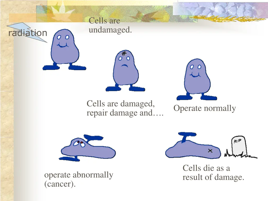 cells are undamaged