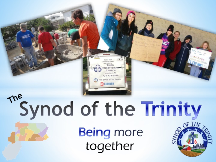 synod of the trinity