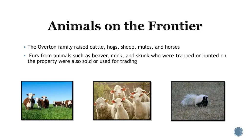 animals on the frontier