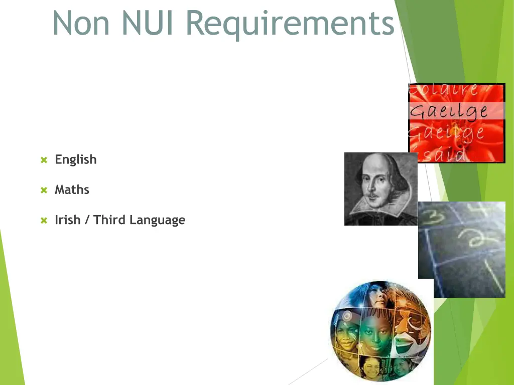 non nui requirements