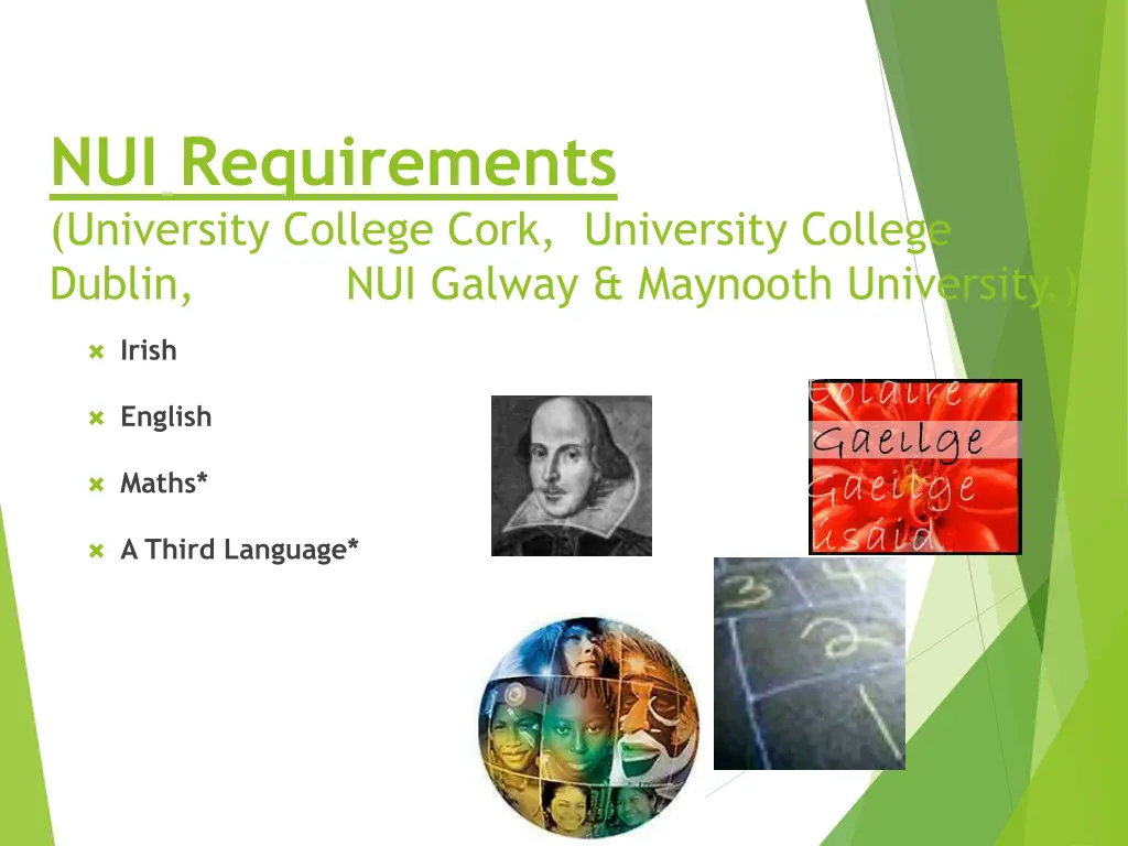 nui requirements university college cork