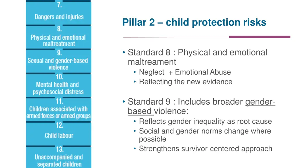 pillar 2 child protection risks 1