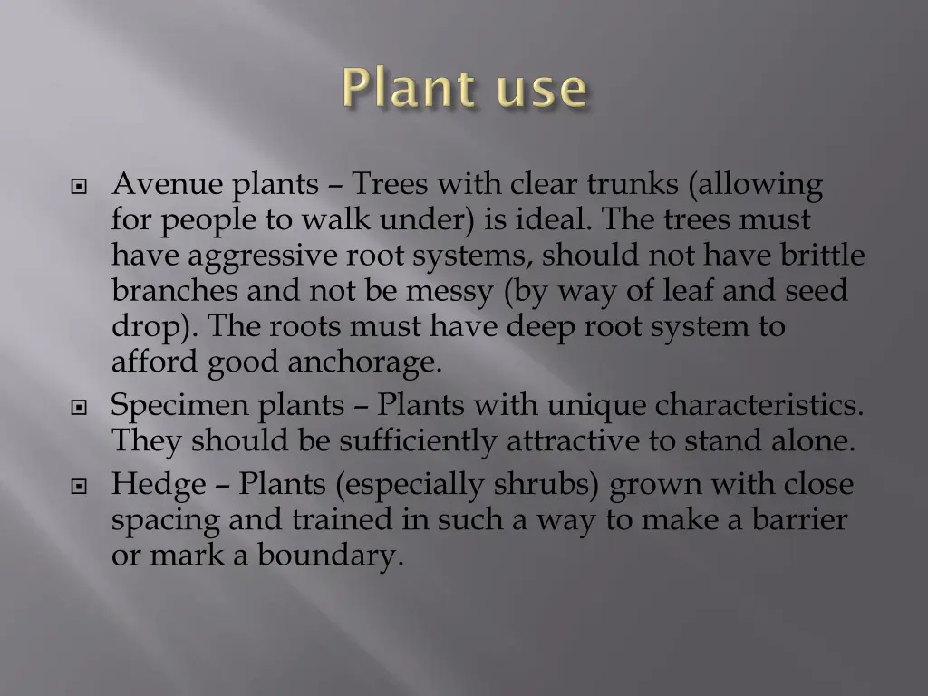 avenue plants trees with clear trunks allowing