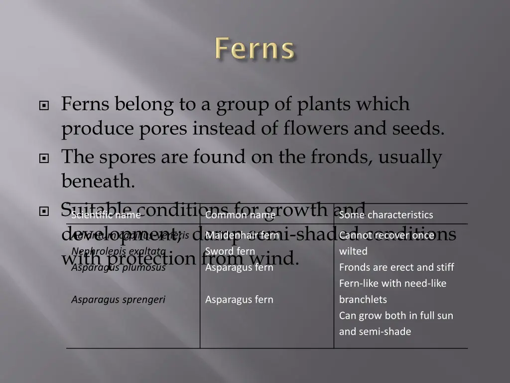 ferns belong to a group of plants which produce