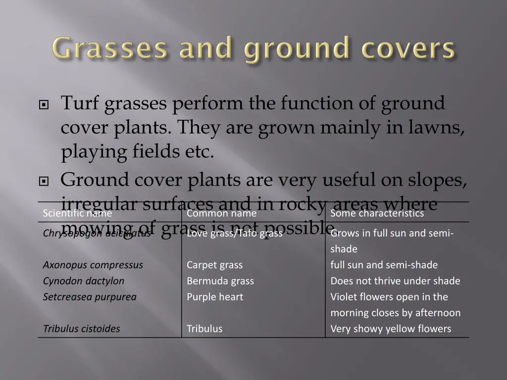 turf grasses perform the function of ground cover