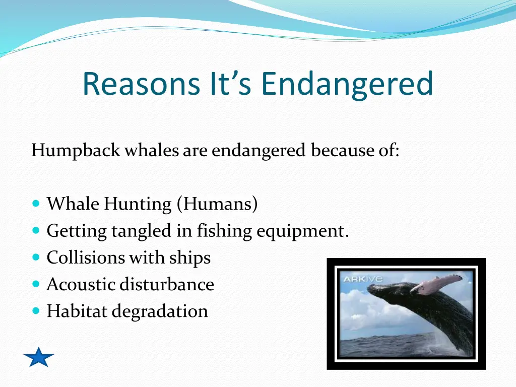 reasons it s endangered