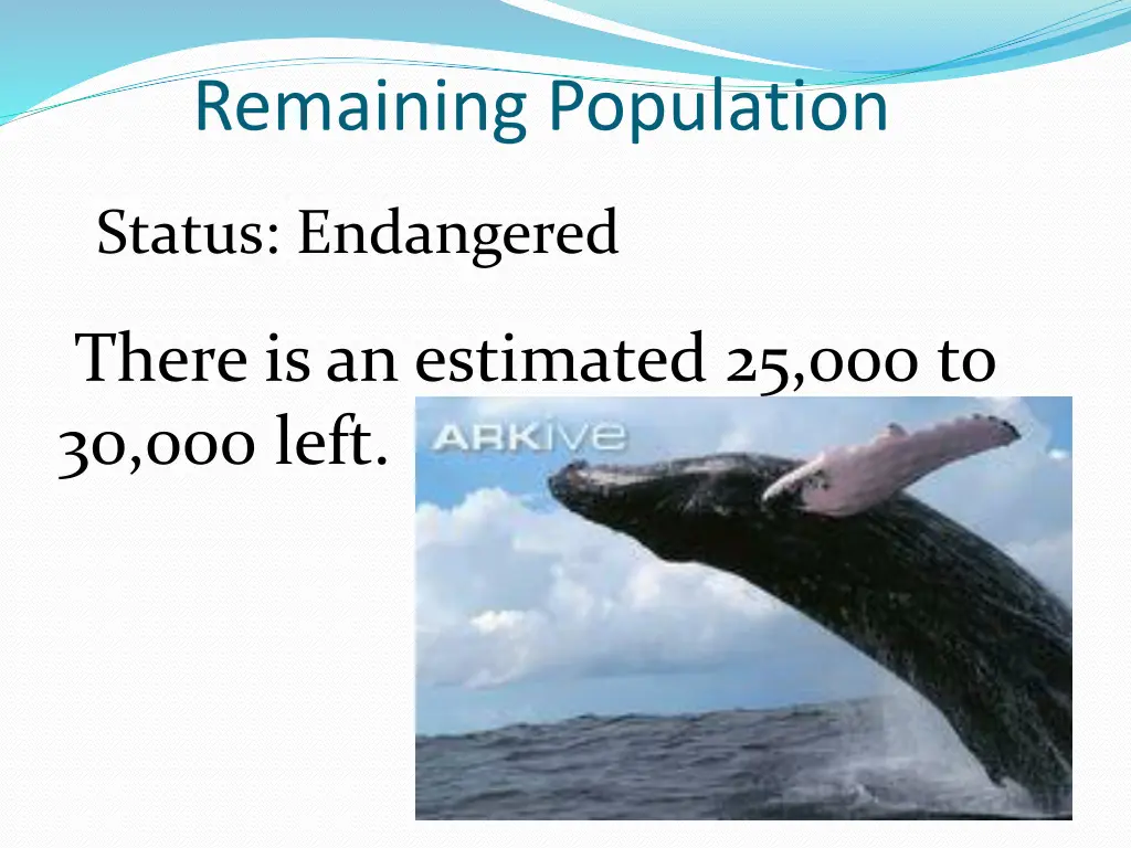 remaining population