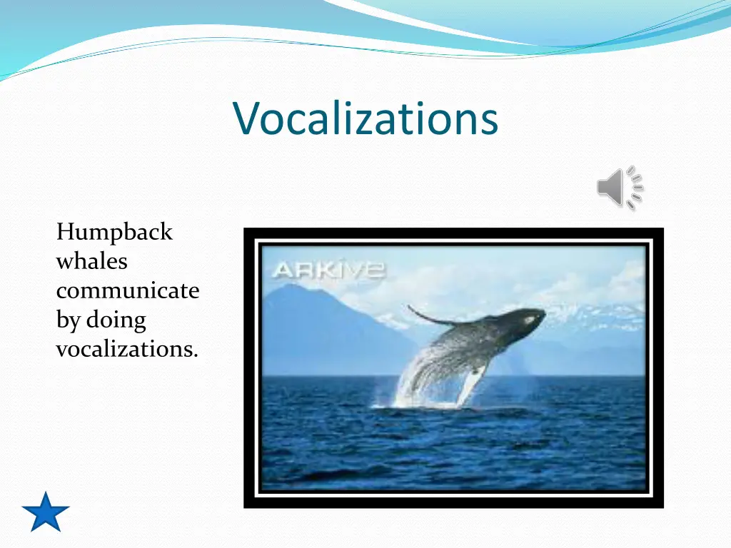 vocalizations