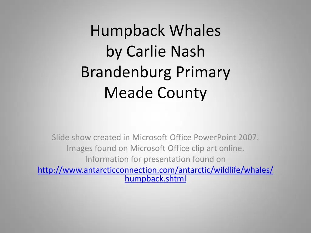 humpback whales by carlie nash brandenburg