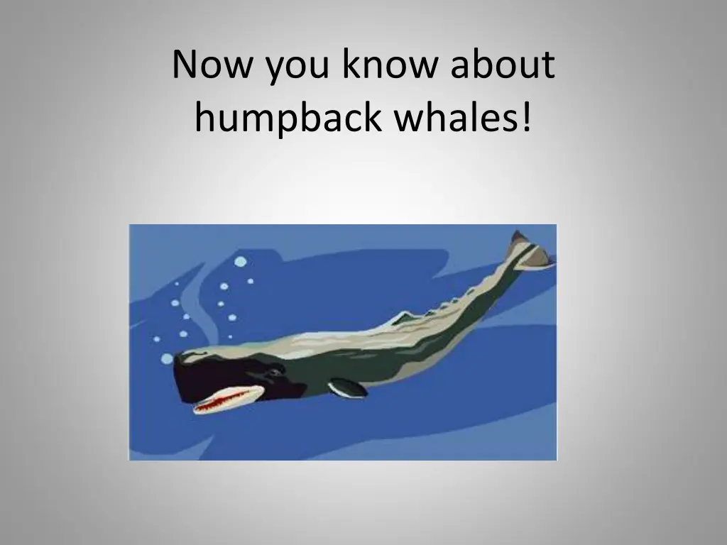 now you know about humpback whales