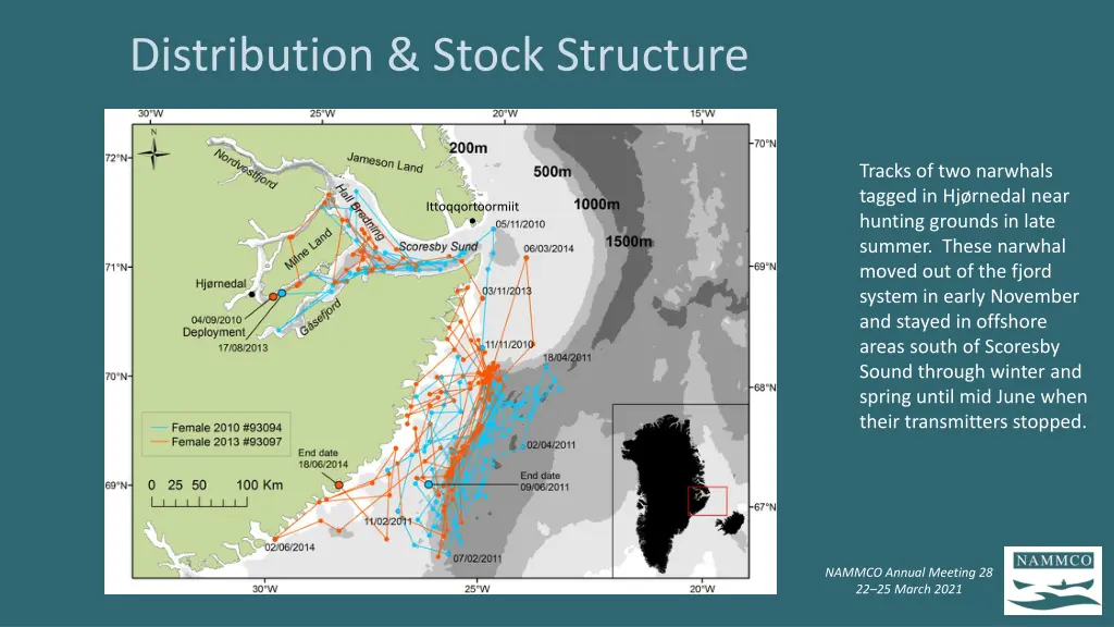 distribution stock structure 1