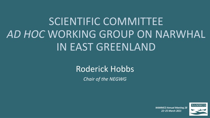 scientific committee ad hoc working group