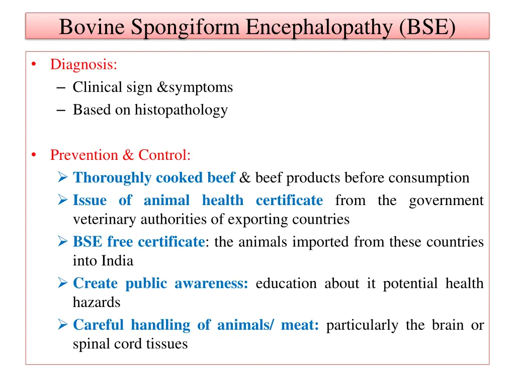 bovine spongiform encephalopathy bse 2