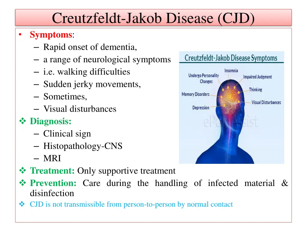 creutzfeldt jakob disease cjd symptoms rapid