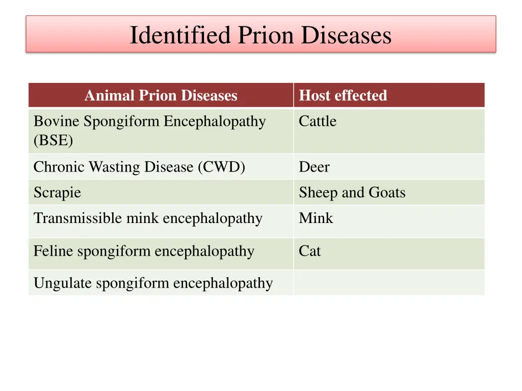 identified prion diseases