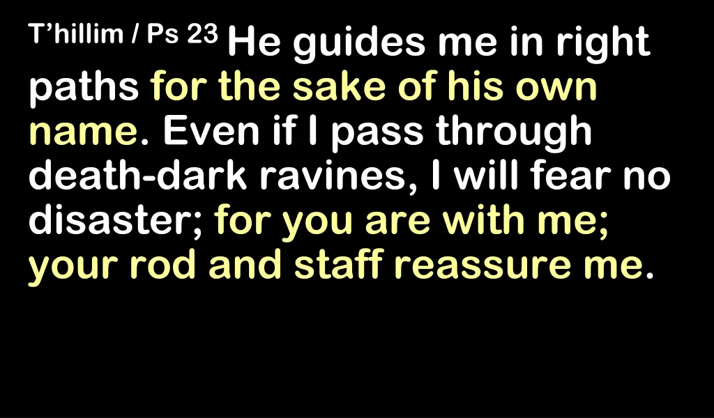 t hillim ps 23 he guides me in right paths