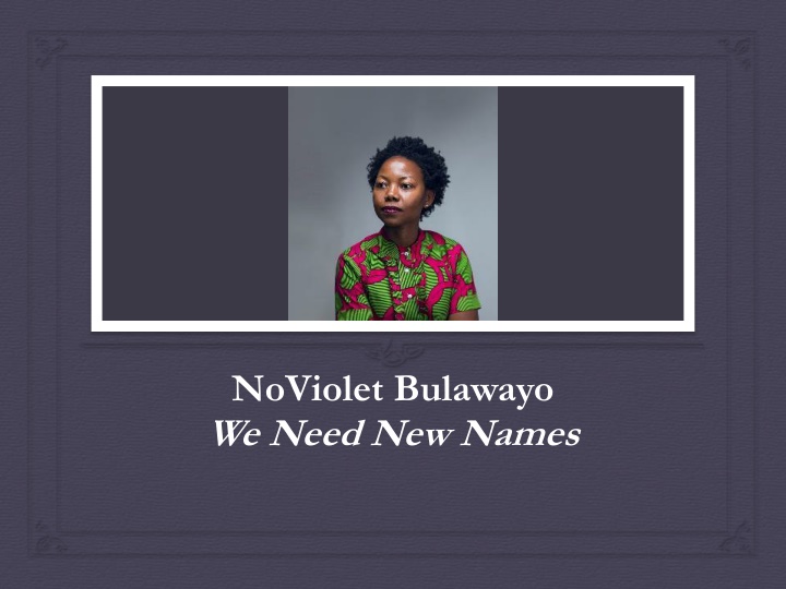 noviolet bulawayo we need new names