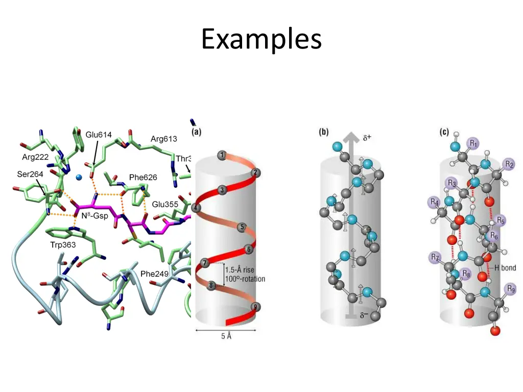 examples 1