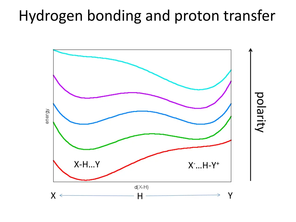 hydrogen bonding and proton transfer