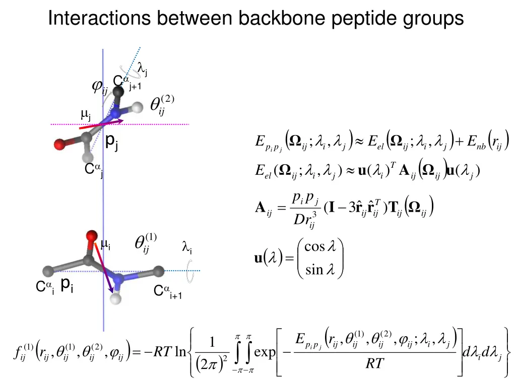 interactions between backbone peptide groups