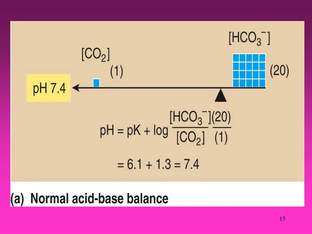 slide15