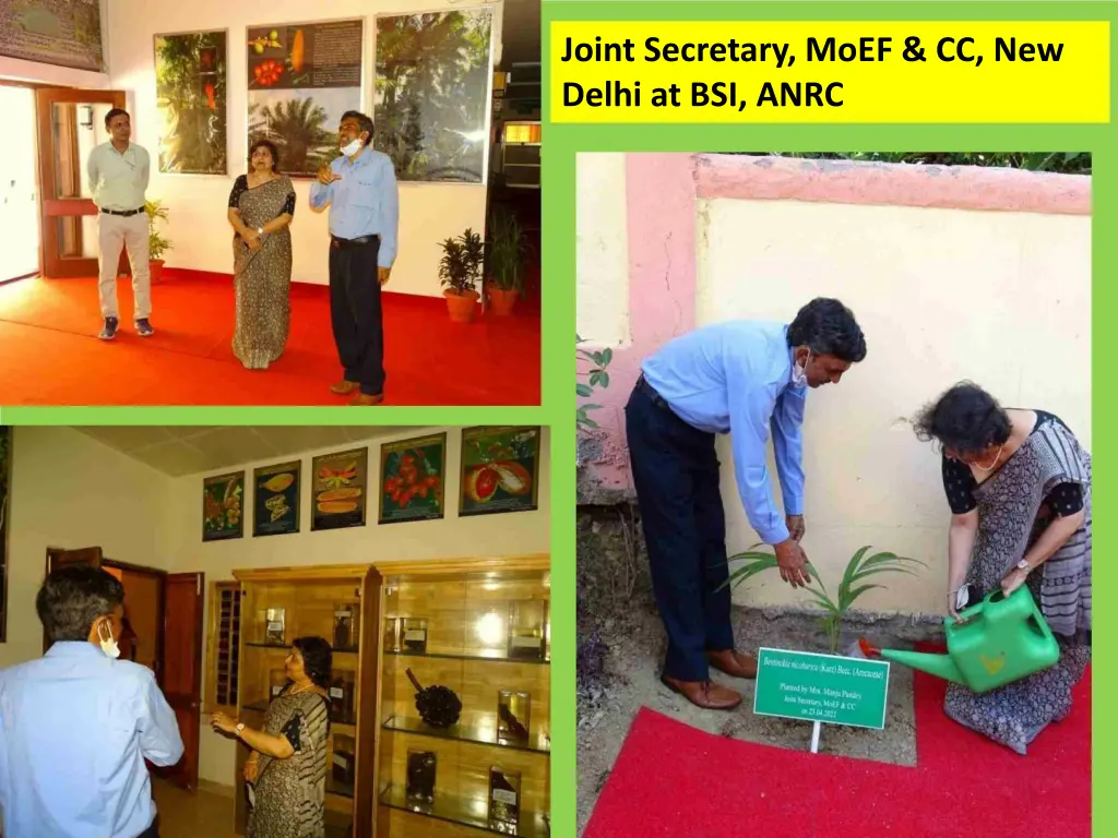 joint secretary moef cc new delhi at bsi anrc