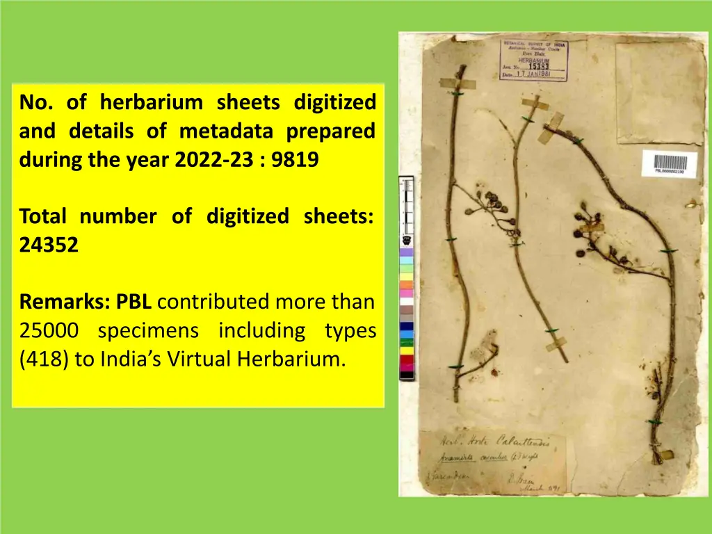 no of herbarium sheets digitized and details