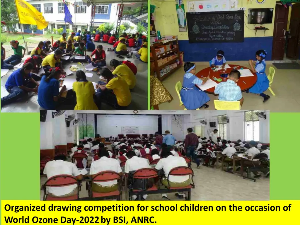 organized drawing competition for school children