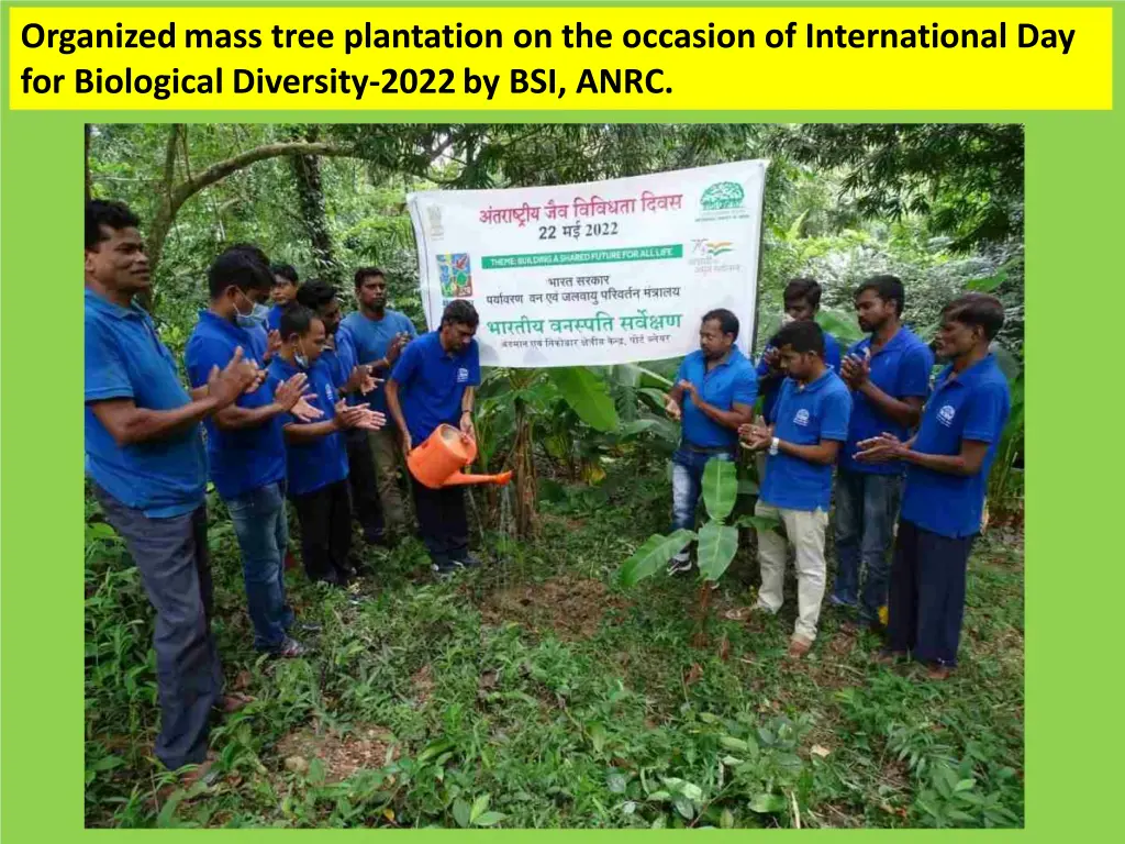 organizedmass tree plantation on the occasion